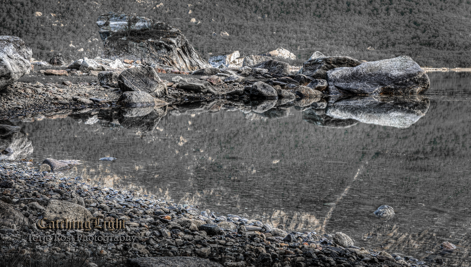Midnight Reflections IV